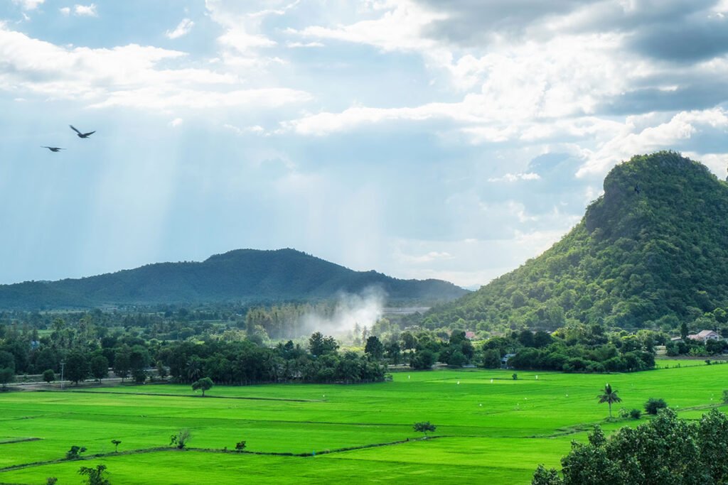 Best Domestic Tour Packages