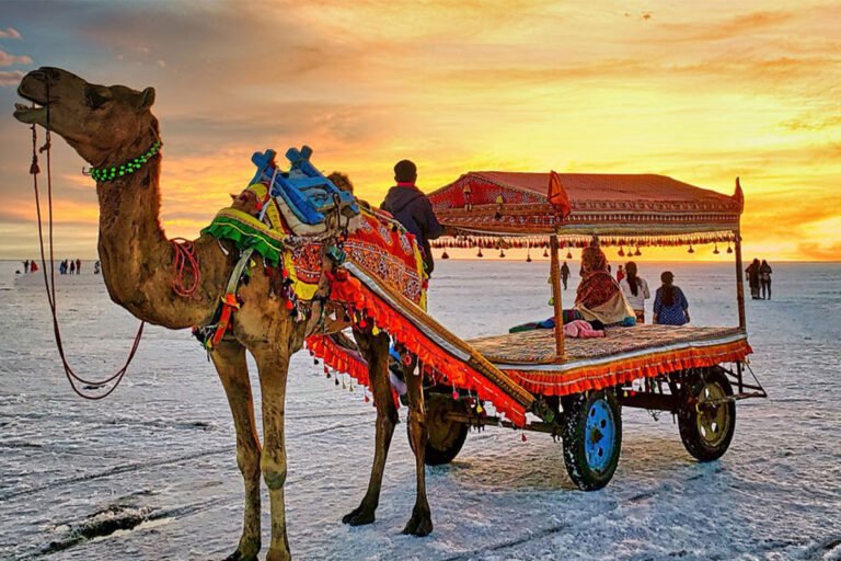Chennai to Gujarat Tour Packages