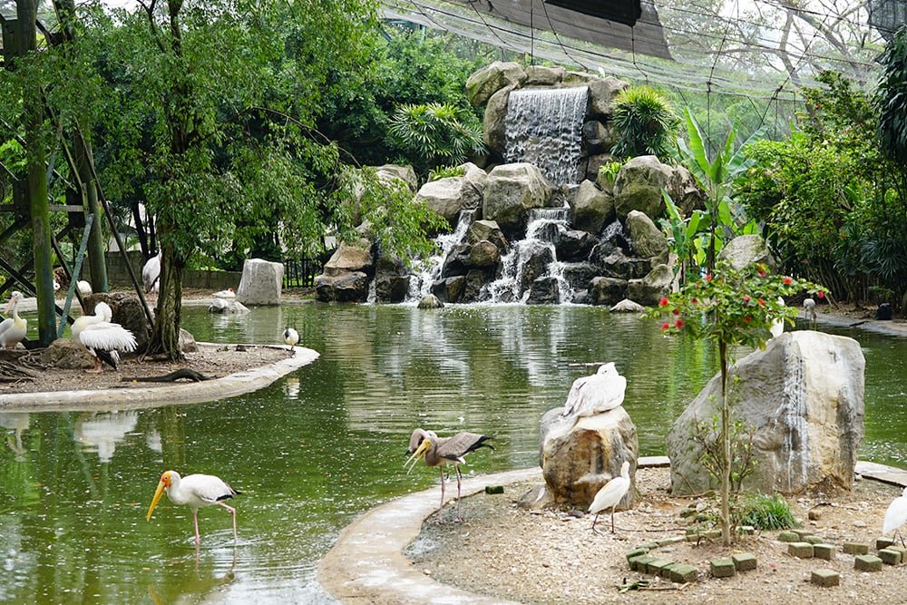 Kuala Lumpur Bird Park