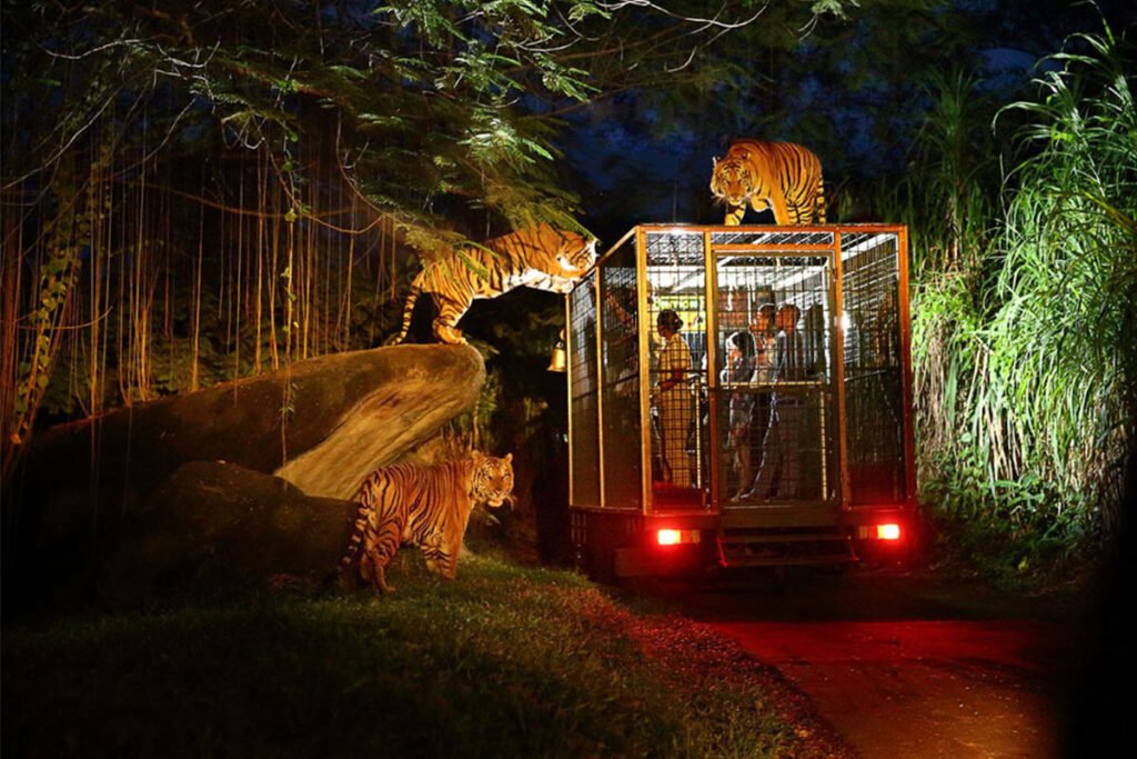 Singapore Heritage Tour Packages in Chennai