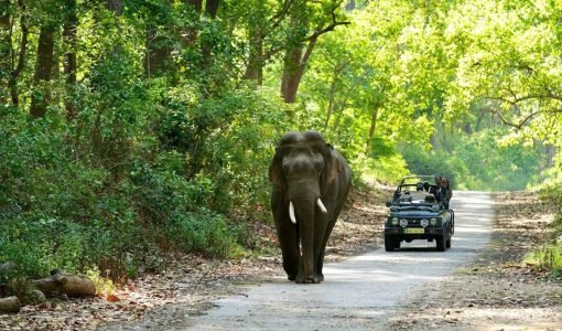 Gujarat Tour Package from Chennai
