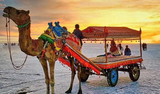 Gujarat Tour Packages From Chennai