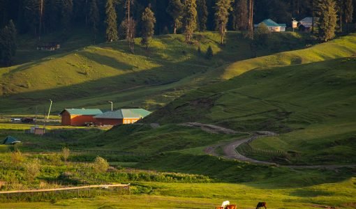 Gulmarg