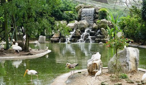 Kuala Lumpur Bird Park
