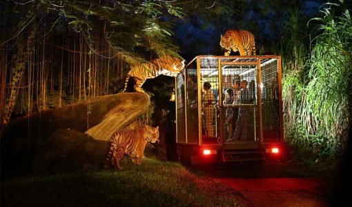 Singapore Heritage Tour Packages in Chennai