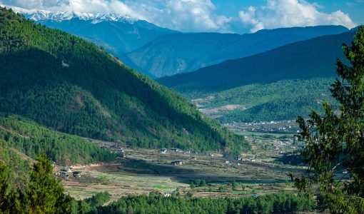 Phobjikha-Valley