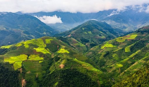Sapa
