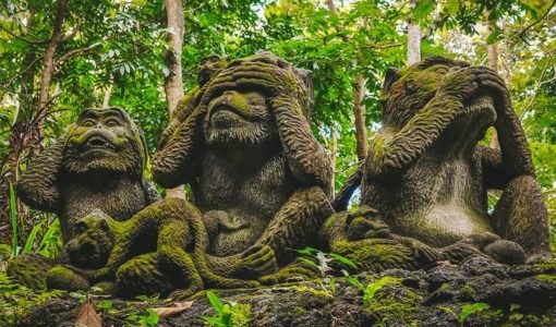 Scared-Monkey-forest-Sanctuary-1